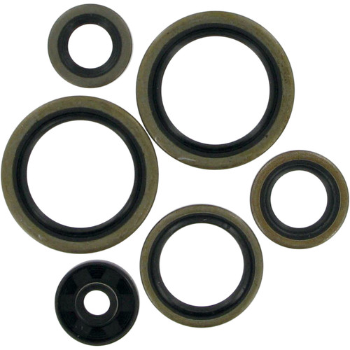 Moose Complete Engine Oil Seal Kit (0934-0166)
