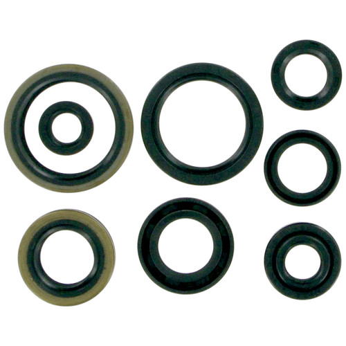 Moose Complete Engine Oil Seal Kit (M822125)