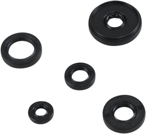 Moose Complete Engine Oil Seal Kit (0935-1019)
