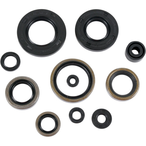 Moose Complete Engine Oil Seal Kit (0935-0052)
