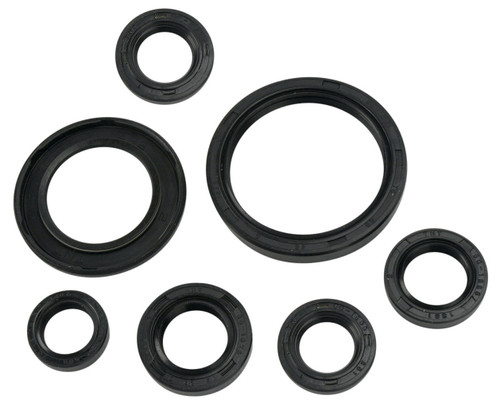 Moose Complete Engine Oil Seal Kit (0935-0389)