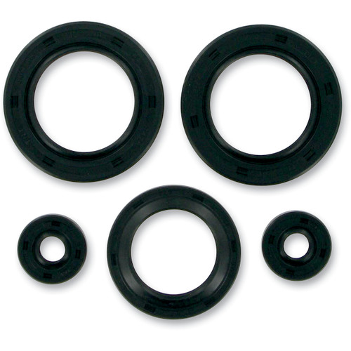 Moose Complete Engine Oil Seal Kit (M822142)