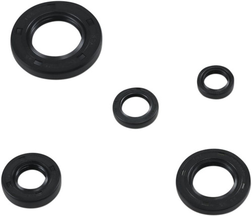 Moose Complete Engine Oil Seal Kit (0935-1016)