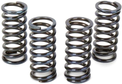 Vesrah Clutch Spring Kit (SK-160)