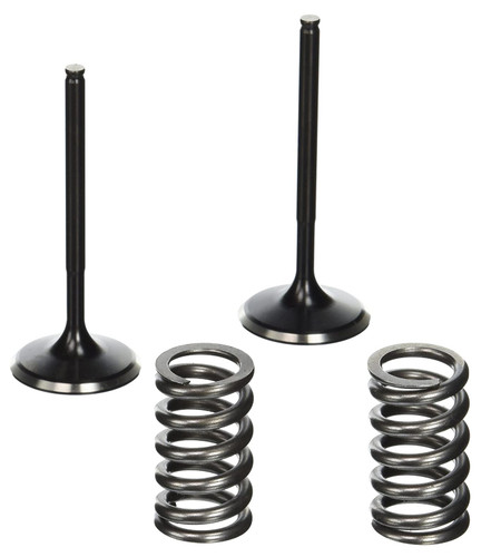 Pro-X Steel Intake Valve & Spring Kit (28.SIS1405-2)