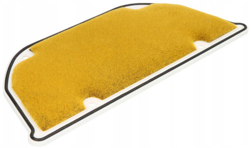HiFlo OE Replacement Air Filter (HFA2905)