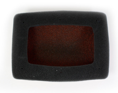 Twin Air Backfire Replacement Air Filter (157033FR)