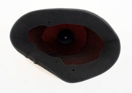 Twin Air Backfire Replacement Air Filter (156016FR)