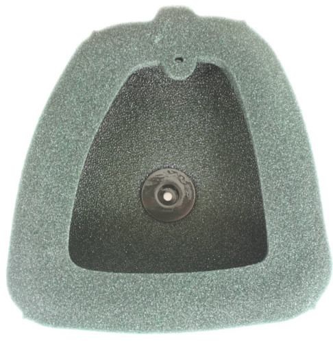 Twin Air Pre-Oiled Backfire Replacement Air Filter (152219FRX)
