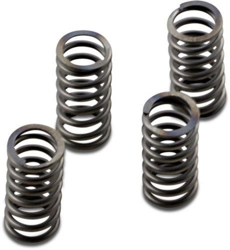 EBC CSK Clutch Spring Set (CSK233)