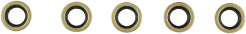 Cometic Starter Shaft Seal 5 Pack (C9261)