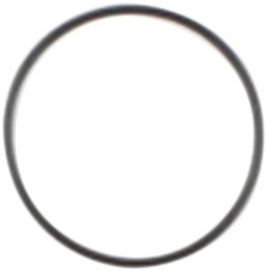 Cometic Starter Housing O-Ring (C9433F1)