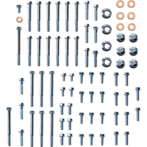 Bolt 2-Stroke Engine Fastener Kit (E-R2-0108)