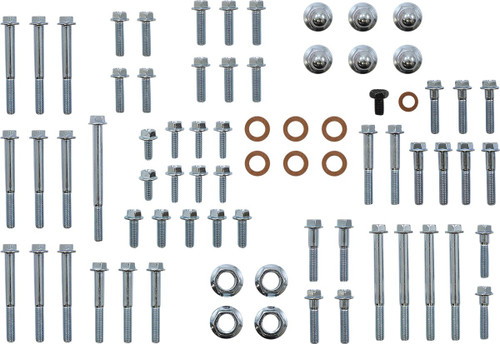 Bolt 2-Stroke Engine Fastener Kit (E-R2-9600)