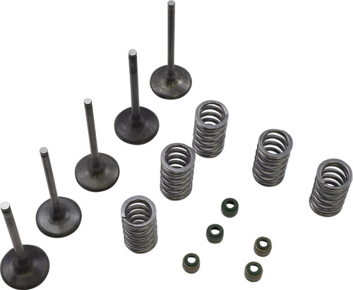 Wiseco Intake & Exhaust Valve & Spring Kit (SVKB2424)