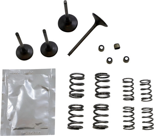 Wiseco Intake & Exhaust Valve & Spring Kit (SVKB4406)