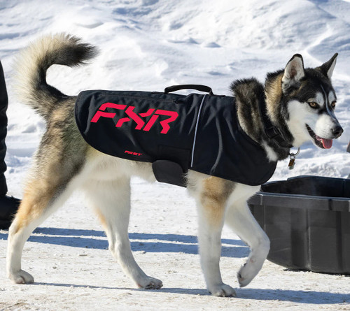 FXR Dog CX Cold Weather Coat