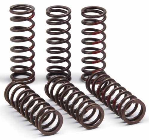 Pro Circuit Heavy Duty Clutch Springs Set (CSH21450-CS)