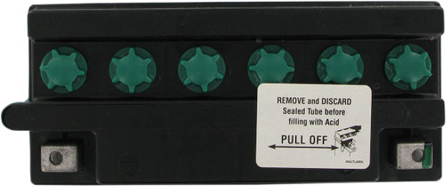 Yuasa Y50-N18L-A3 High Performance Conventional 12V Battery (YUAM228A3TWN)