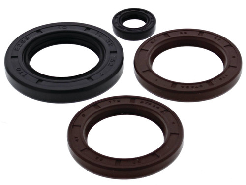 Vertex Engine Oil Seal Kit (622206)