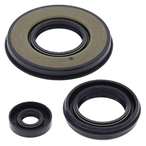 Vertex Engine Oil Seal Kit (55199)