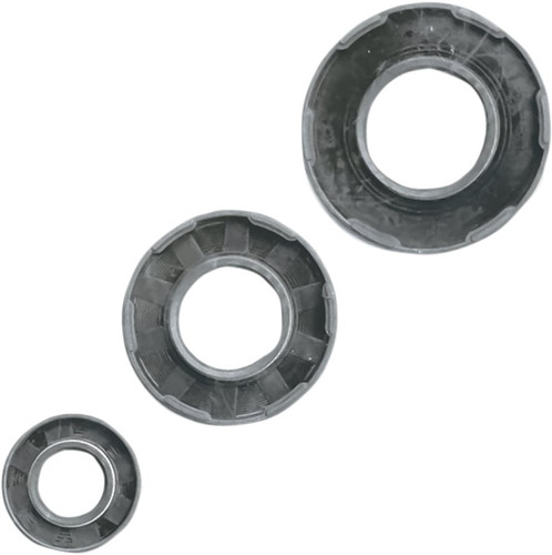 Vertex Crankshaft Oil Seal & Spring Kit (622201)
