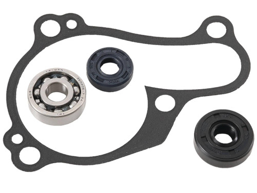 Hot Rods Water Pump Rebuild Kit | Bearing, Seals & Gasket (WPK0059)