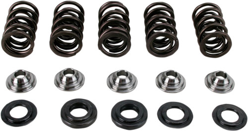 Hot Cams Valve Spring Kit (SKYFM660S2)