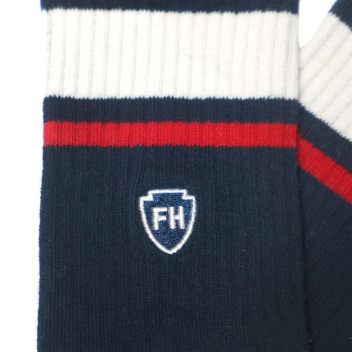 Fasthouse Venice Socks