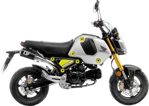 Leo Vince LV-10 Carbon Fiber High Mount Exhaust System (15253CU)