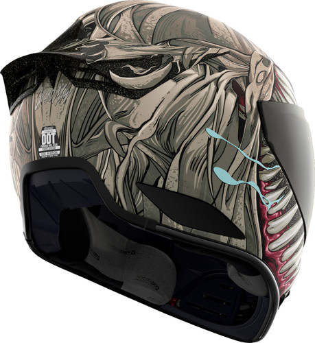 Icon Domain Grand Maw Motorcycle Helmet