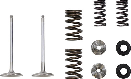 Moose Intake Valve Kit (0926-3371)