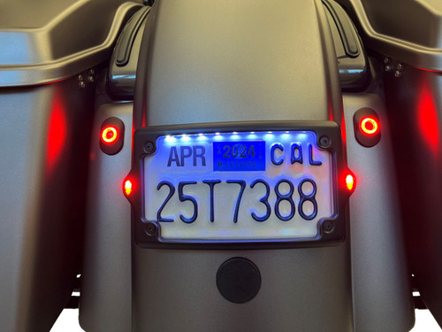 Kodlin Elypse 3-1 LED Black License Plate Kit (KUS20300)