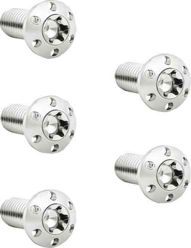 Arlen Ness 5/16"-18 x 7/8" Titanium Front Rotor Polished Bolt Kit (300-912)