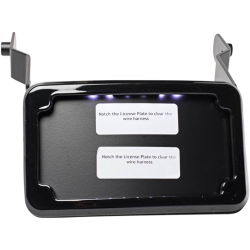 Cycle Visions Black LP Plate Frame & Mount w/Tag Light (CV4660B)