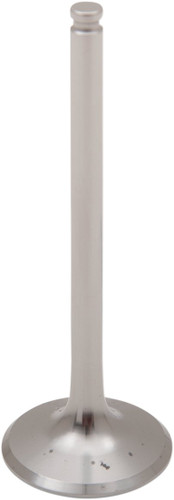 Del West Titanium Exhaust Valve (DWLTR450EV11HFP)