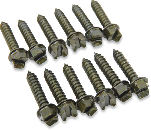 Gold Screws 1" Ice Screws (1000 Pack) (1250-0304)