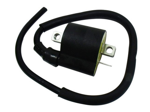 Bronco Ignition Coil (AT-01318)
