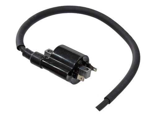 Bronco Ignition Coil (AT-01698)