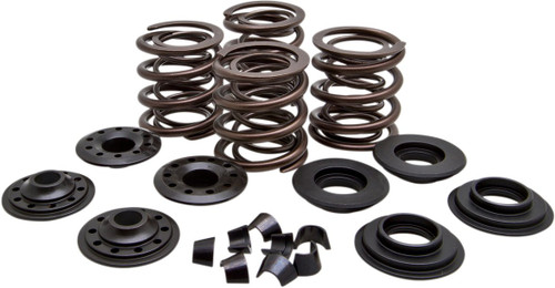 Kibblewhite Racing Valve Spring Kit (20-20450)