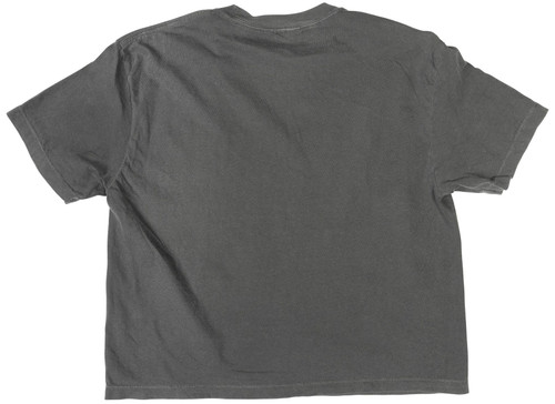 Fasthouse Renown Womens Shorts Sleeve Cropped T-Shirt