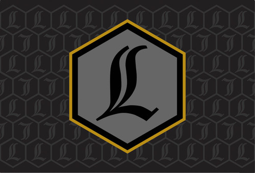 Legends REVO ARC Reservoir Decals | Gold (43202402)