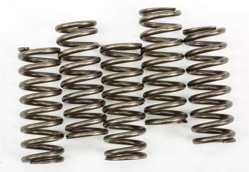EBC CSK Clutch Spring Set (CSK254)