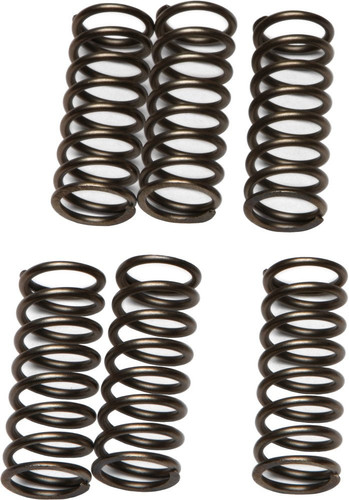 EBC CSK Clutch Spring Set (CSK79)