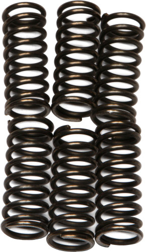 EBC CSK Clutch Spring Set (CSK96)