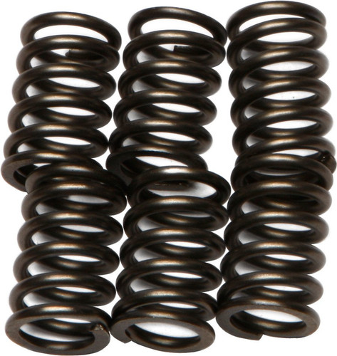 EBC CSK Clutch Spring Set (CSK64)