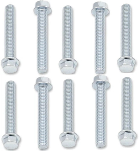 Bolt M6-1.0x45 8mm Hex Flange Bolt 10 Pack (024-10645)