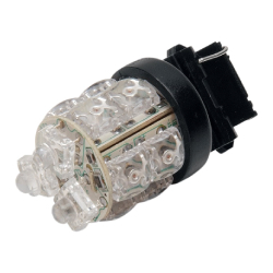 Bulbs & LEDs