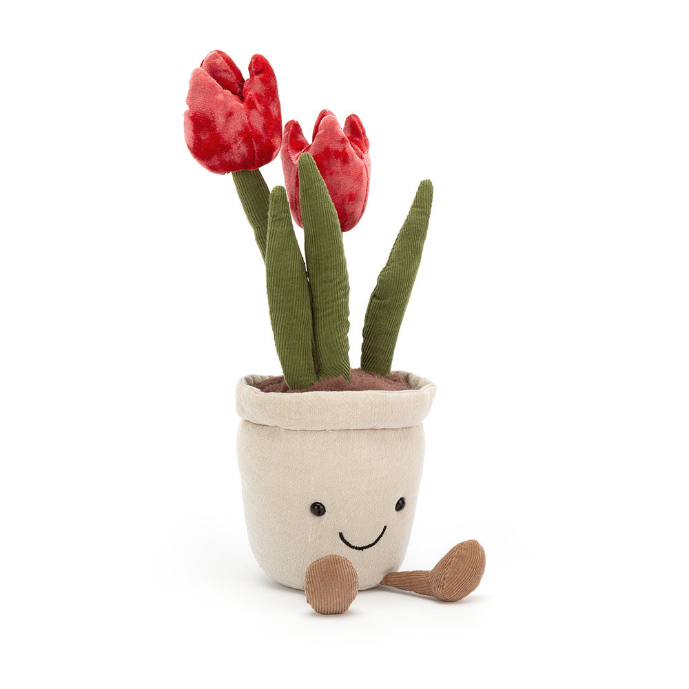 Amuseables Tulip, Main View