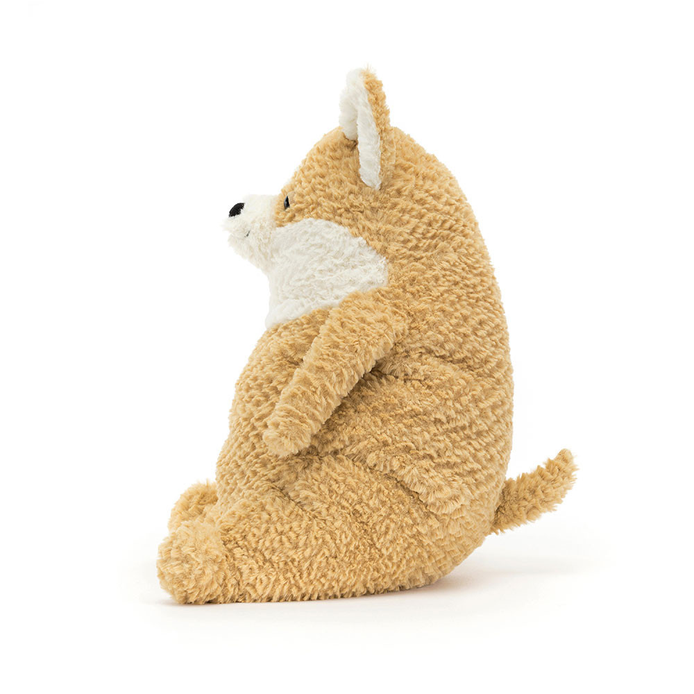 Amore Corgi, View 2